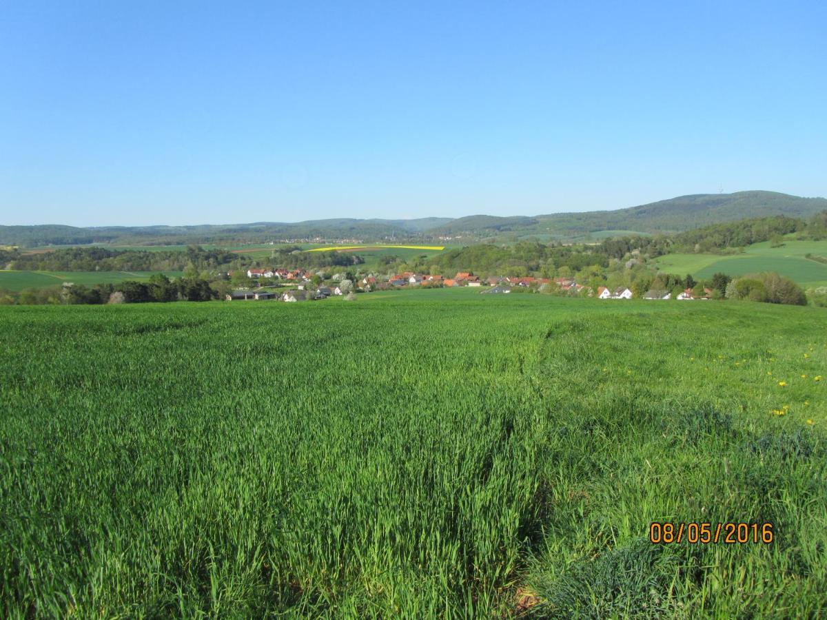 Fackiner * Gemunden an der Wohra